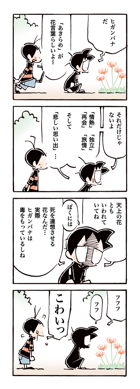 586