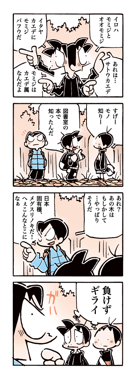 709